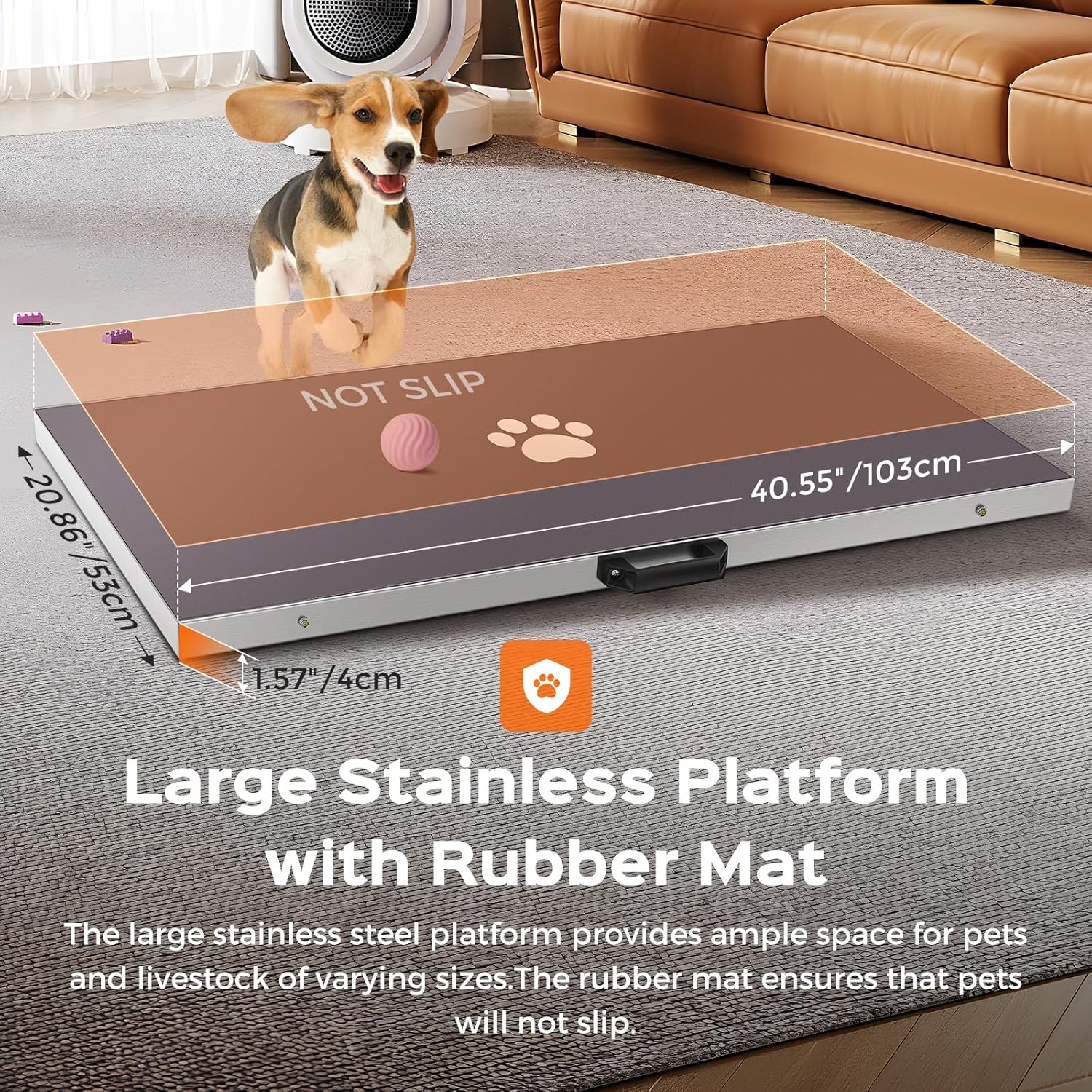 https://m.media-amazon.com/images/I/91sTUBveVjL._SL1500_.jpg