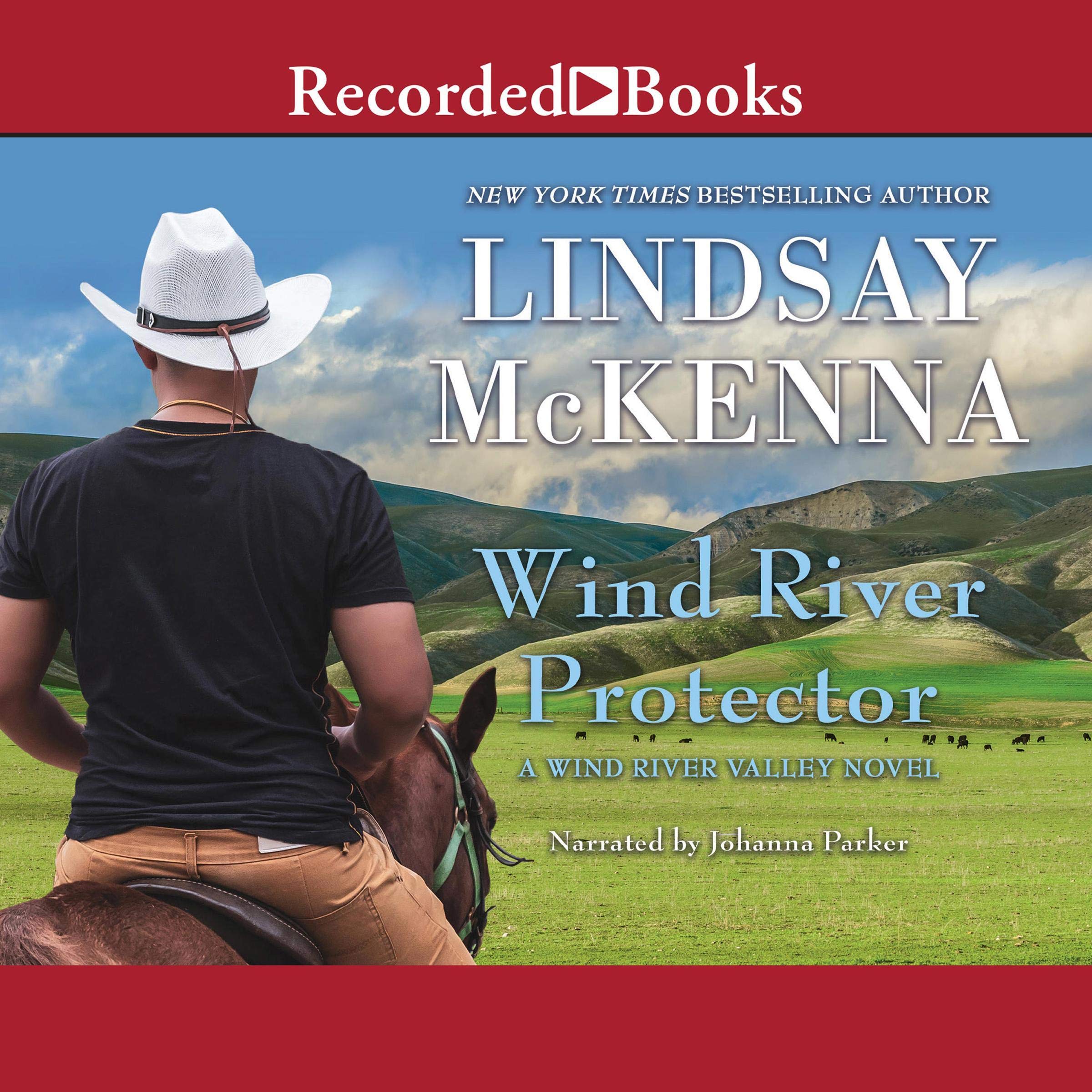 Cover art for Wind River Protector