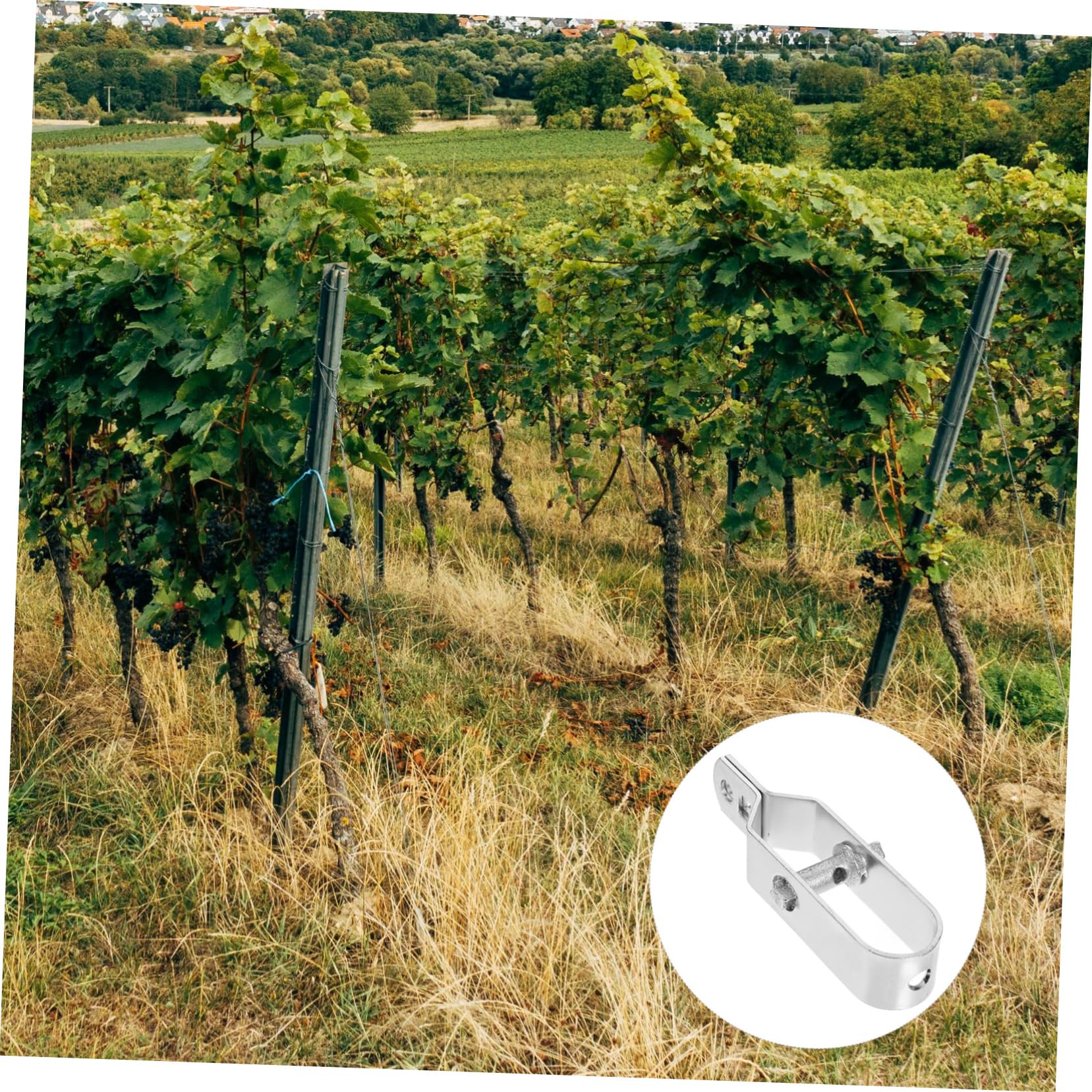 DOITOOL 10pezzi Tenditore Per Filo Da Giardino Da Regolabili Per Tensionamento Cavi e Funi Leggero Per Attività Industriali e Ricreative
