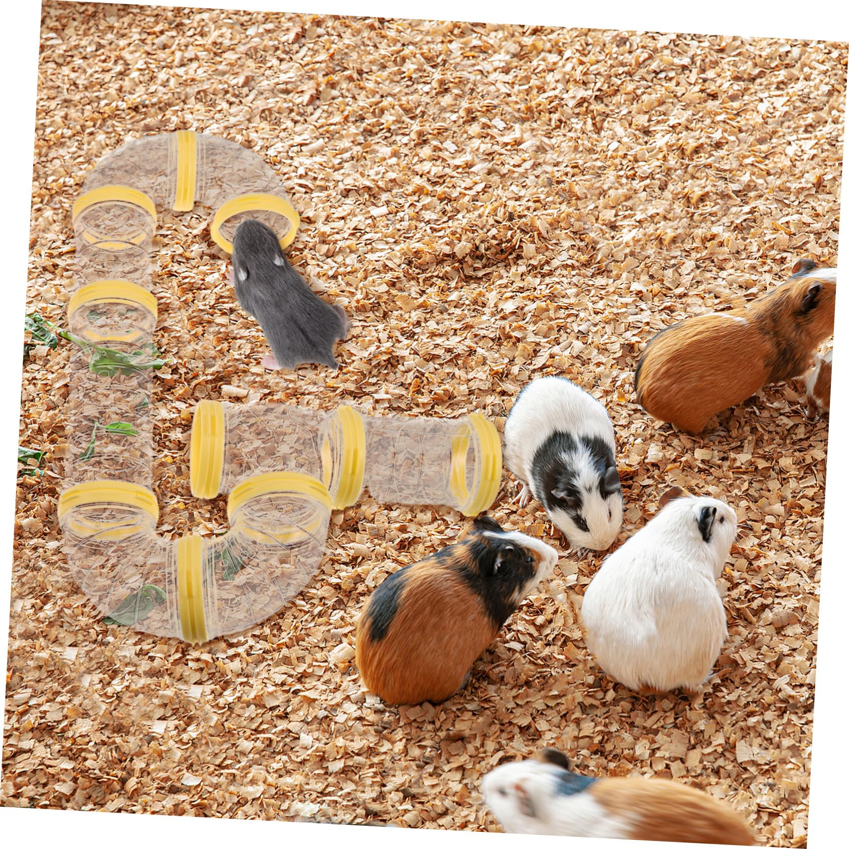 NUOBESTY 2sätze Faltbarer Hamster-spieltunnel für Kleintiere Transparenter Hamsterröhrentunnel Spielzeugtunnel aus Kunststoff für Hamsterkäfige Meerschweinchenröhre zum Spielen und Toben