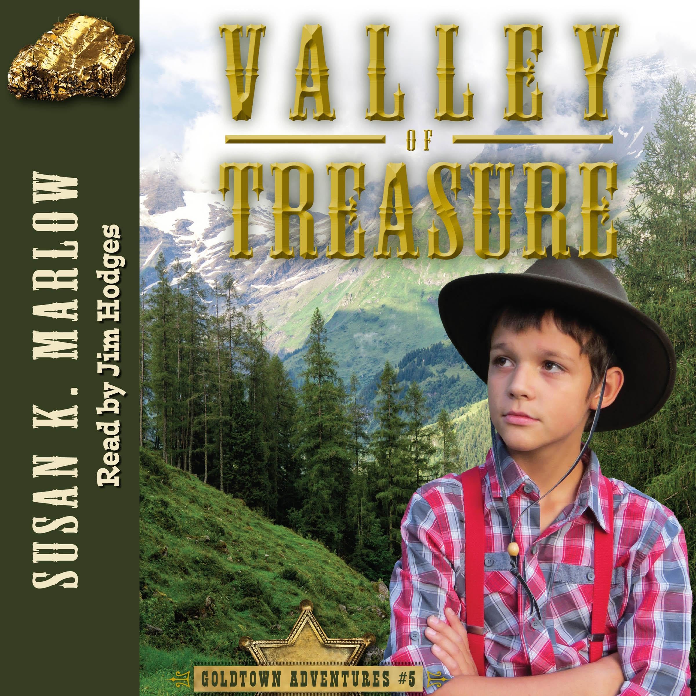 Cover art for Valley of Treasure