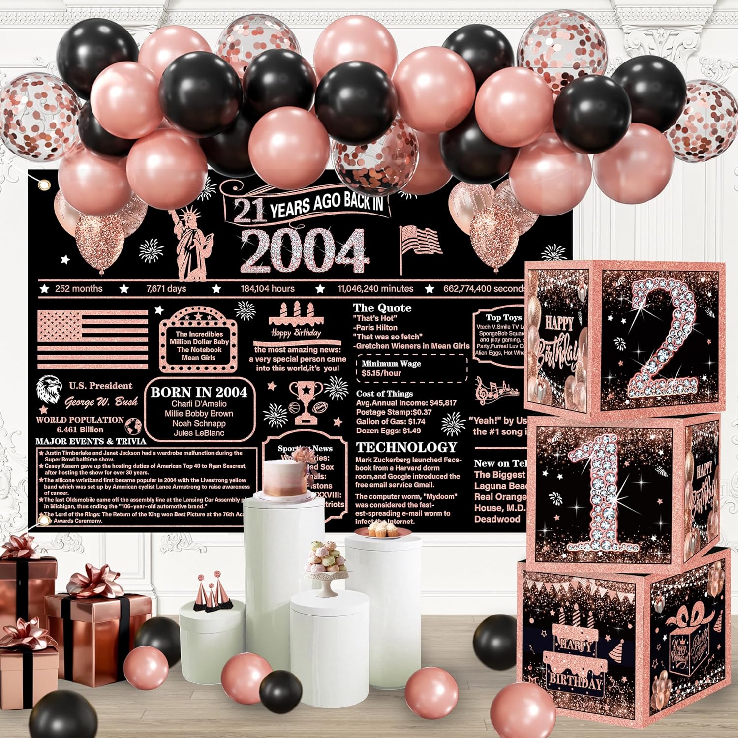 21st Birthday Decorations for Women - Back in 2004 Theme Backdrop, Rose Gold Balloons,21 Birthday Boxes Decor for Girls