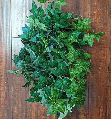Ooki Arce hiedra verde colgante arbusto hogar boda telón de fondo decoración floral artesanía vegetación vid falsa follaje hoja pared