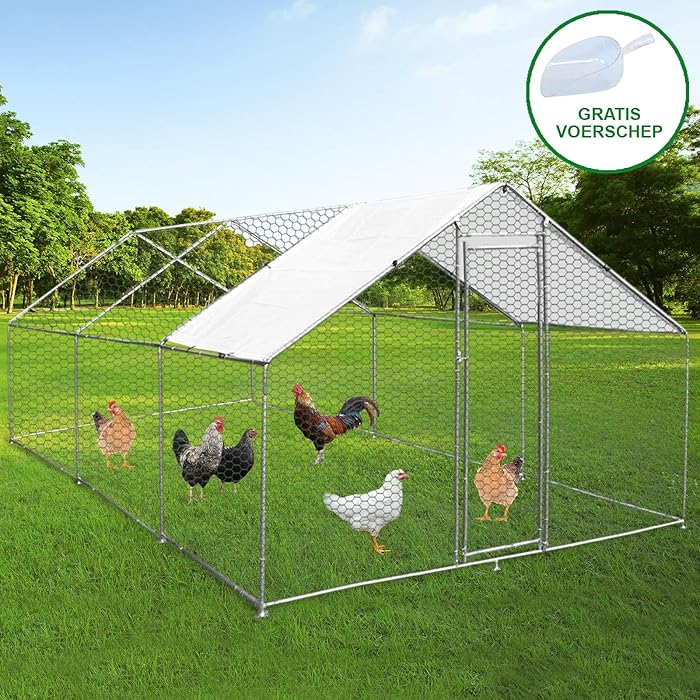 Buy Walk In Chicken Run Cage Coop 4m x 6m x 2m Dog Pen House Kennel