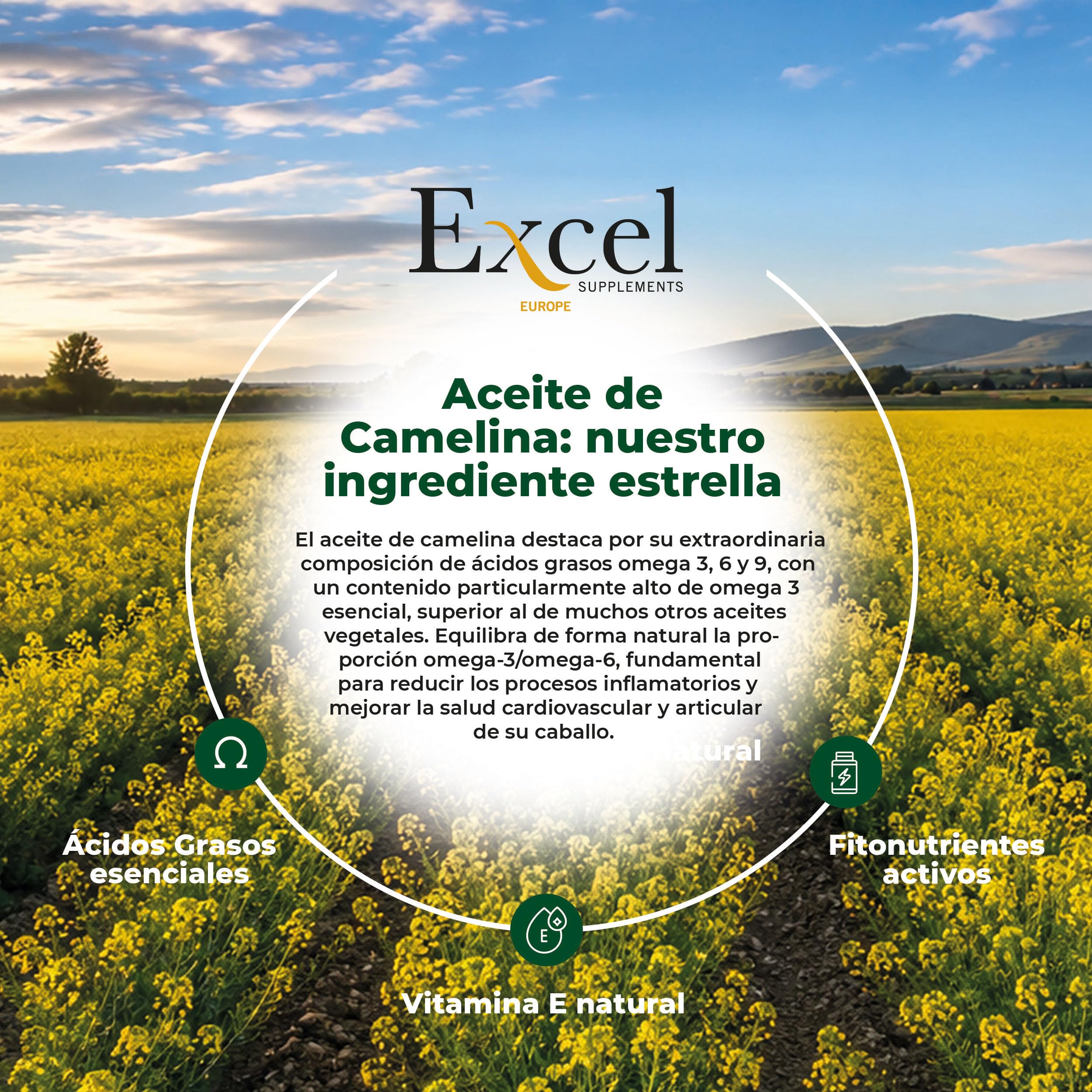 5L Excel EQ Pferdefutteröl - Pferdefuttersupplement - Omega-3-Kamelinaöl mit entzündungshemmender Wirkung für natürlichen Glanz und Pflege des Pferdefells
