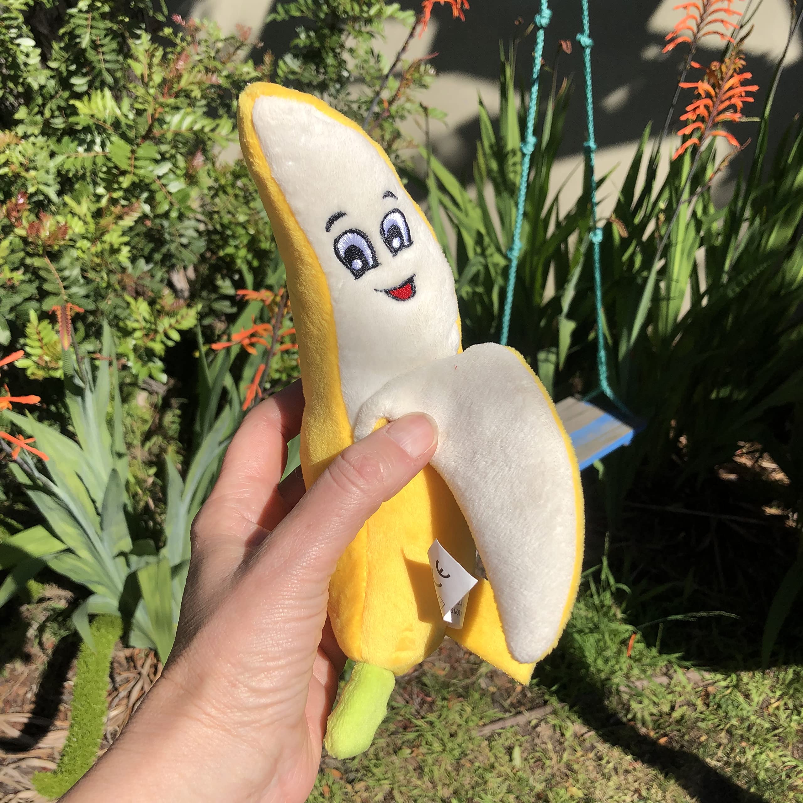 View 5