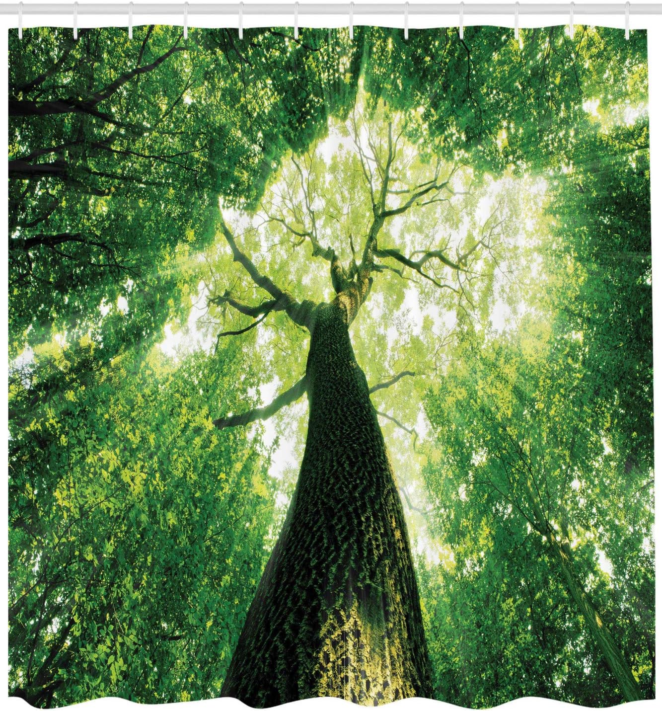 Ambesonne Nature Shower Curtain, Sun Rays to Woodland Wild Habitat Summer Rays Dreamy Foliage Park Landscape Photo Art, Cloth Fabric Bathroom Decor Set with Hooks, 69" W x 84" L, Green