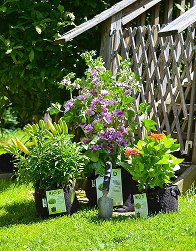 Miniatura 8 de Paquete de 3 bolsas de cultivo de plantas de tela biodegradable de 1 galón, resistentes y respetuosas con el medio ambiente