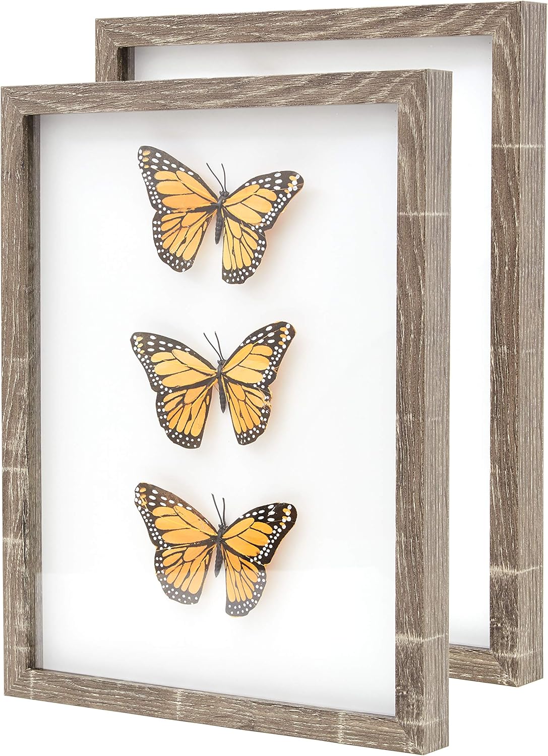 Super-Sturdy 11x14 Black Shadow Box Frame With Glass 2 Pk. Fill Large Wood Memory Box With Wedding Flowers, Jerseys, Cute Pet Photos, Ticket Stubs, or Medals. Great Seashell Display Case