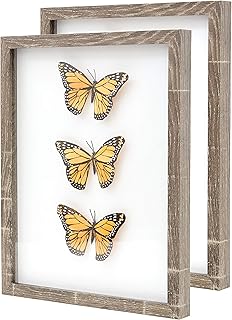 Super-Sturdy, 11x14 Gray Shadow Box Frame With Glass 2pk. Fill Large Rustic Wood Memory Box With Wedding Flowers, Jerseys, Pet Photos, Ticket Stubs, or Medals. Great Seashell Display Case