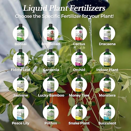 Fertilizante Líquido 3-1-2 para Árbol del Dinero 8 oz miniatura 6