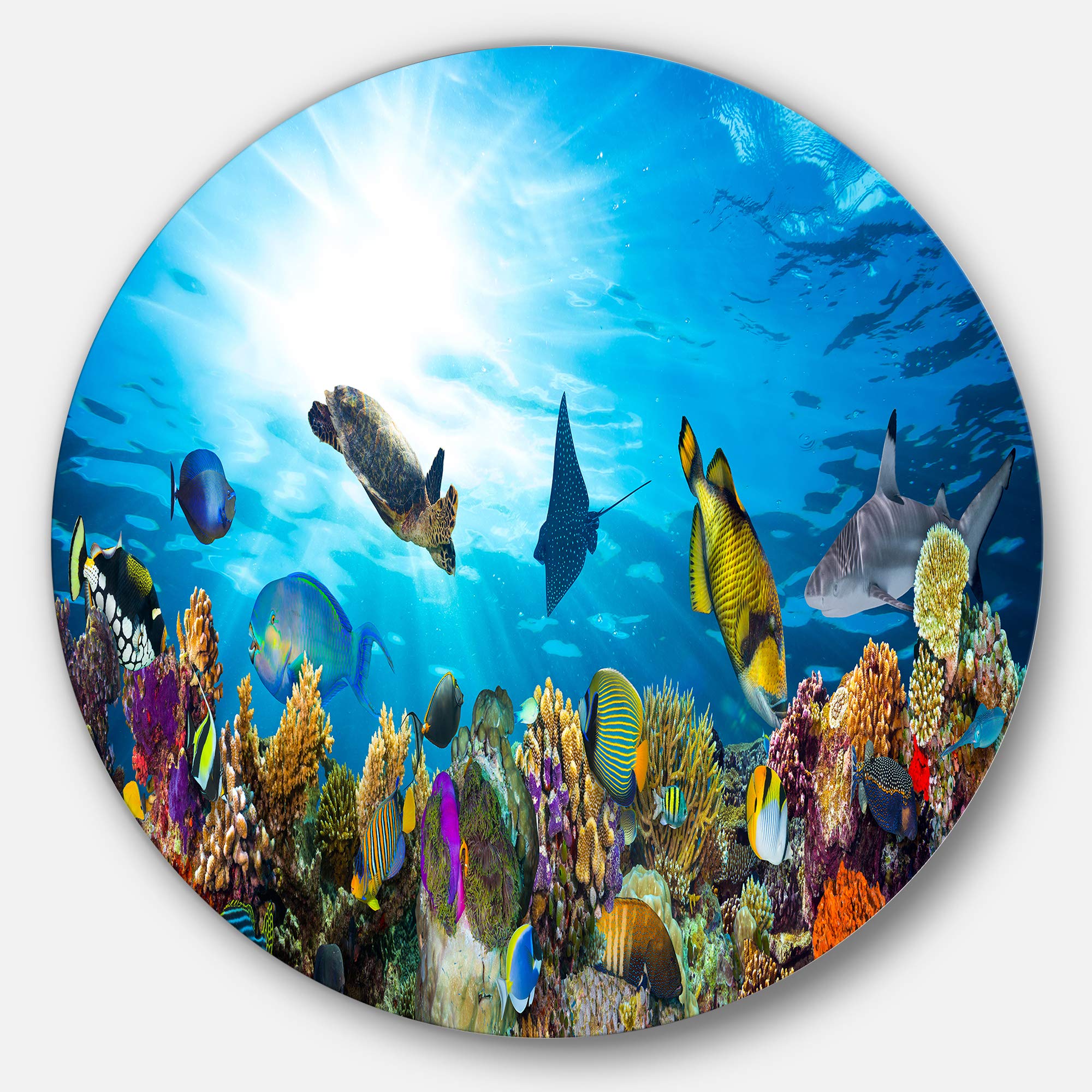 アートパネル　レッドフィッシュ Amazon.co.jp: Stupell Industries カラフル 海 生物 魚 ブルー