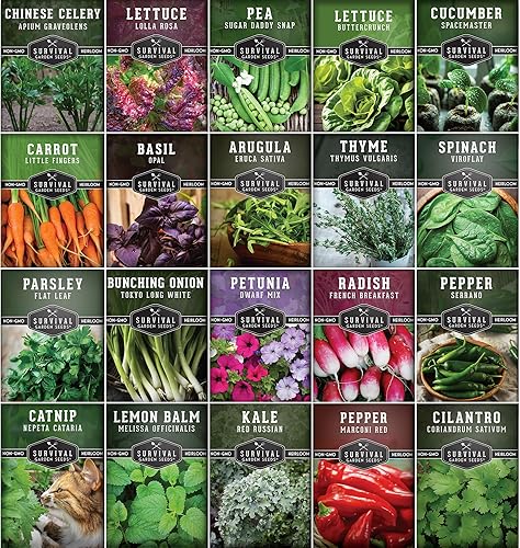 Indoor Garden Vegetables Hydroponic Apartment Garden – Variedades de verduras tradicionales sin OMG para espacios pequeños Patio Jardín – Apto para