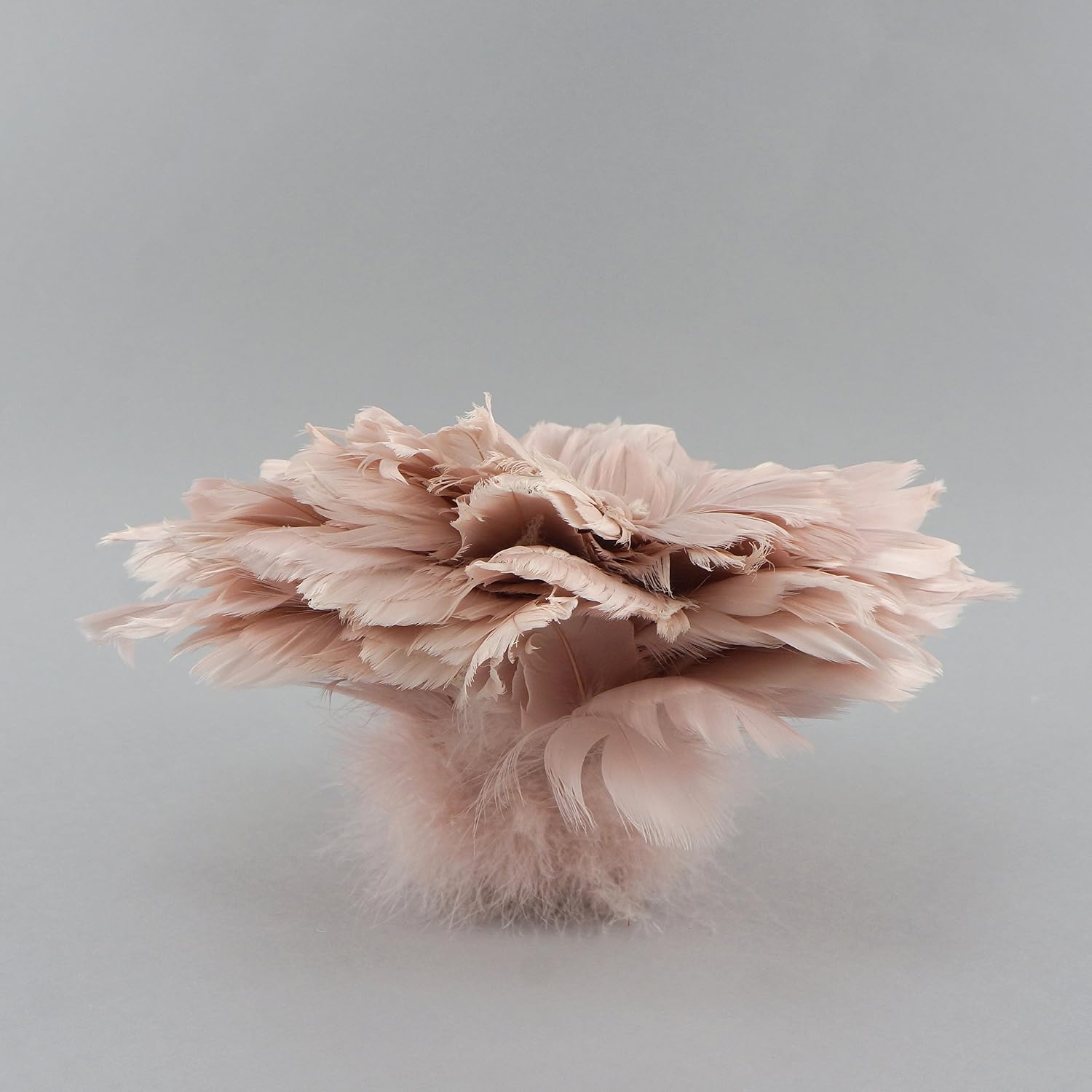 ZUCKER Goose Coquille Dyed Feathers - Champagne