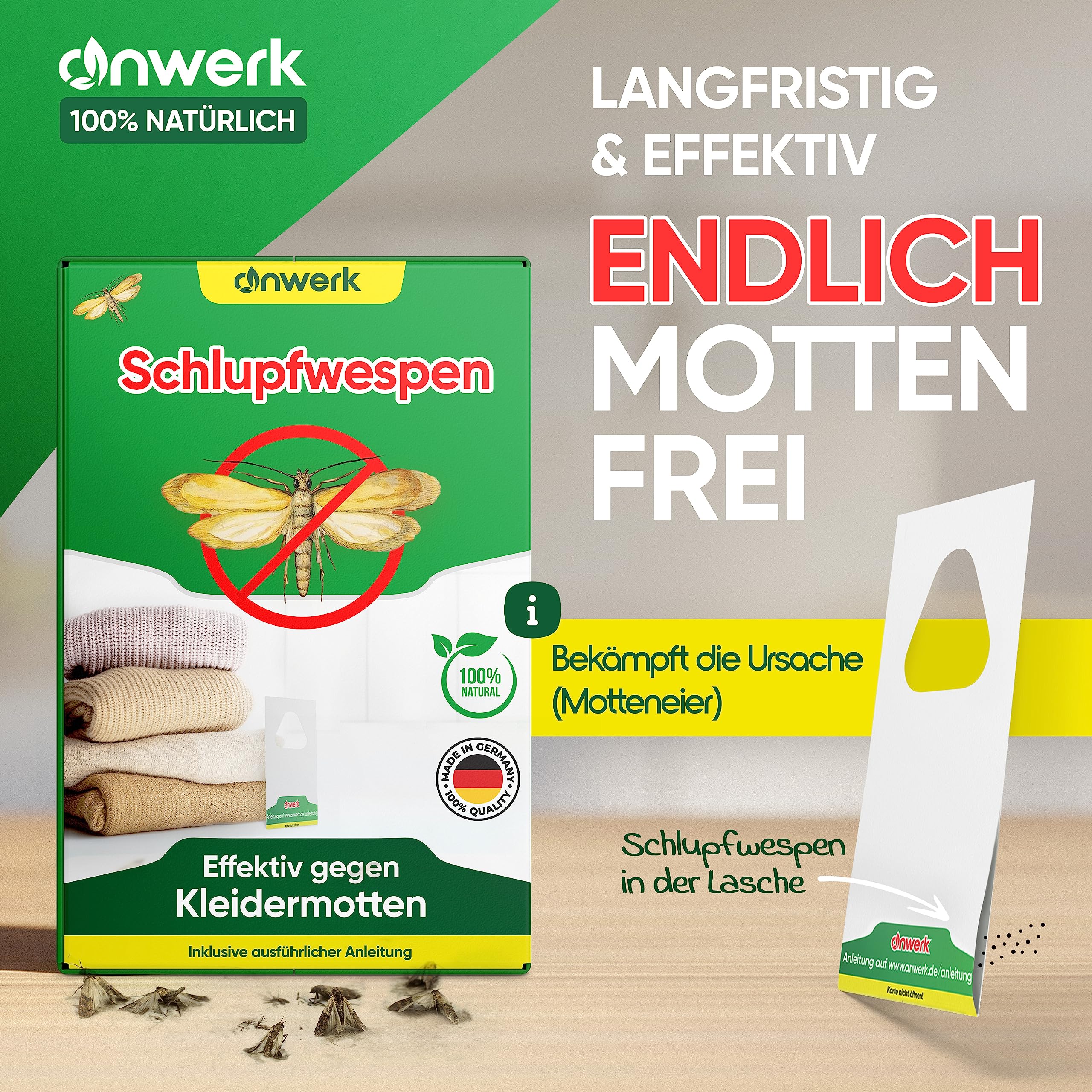 anwerk® Schlupfwespen gegen Kleidermotten - 36 Karten (6 Karten à 6 Lieferungen) - Effektiv Kleider Motten bekämpfen - Alternative zur Mottenfalle, Mottenspray, Pheromonfalle