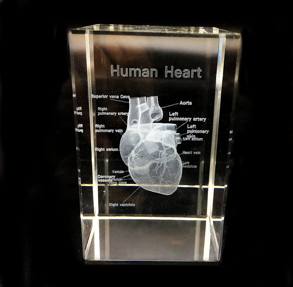 Glass Heart PREMIERE SCREENING グッズ BOX520_600x.jpg?v=1754514384