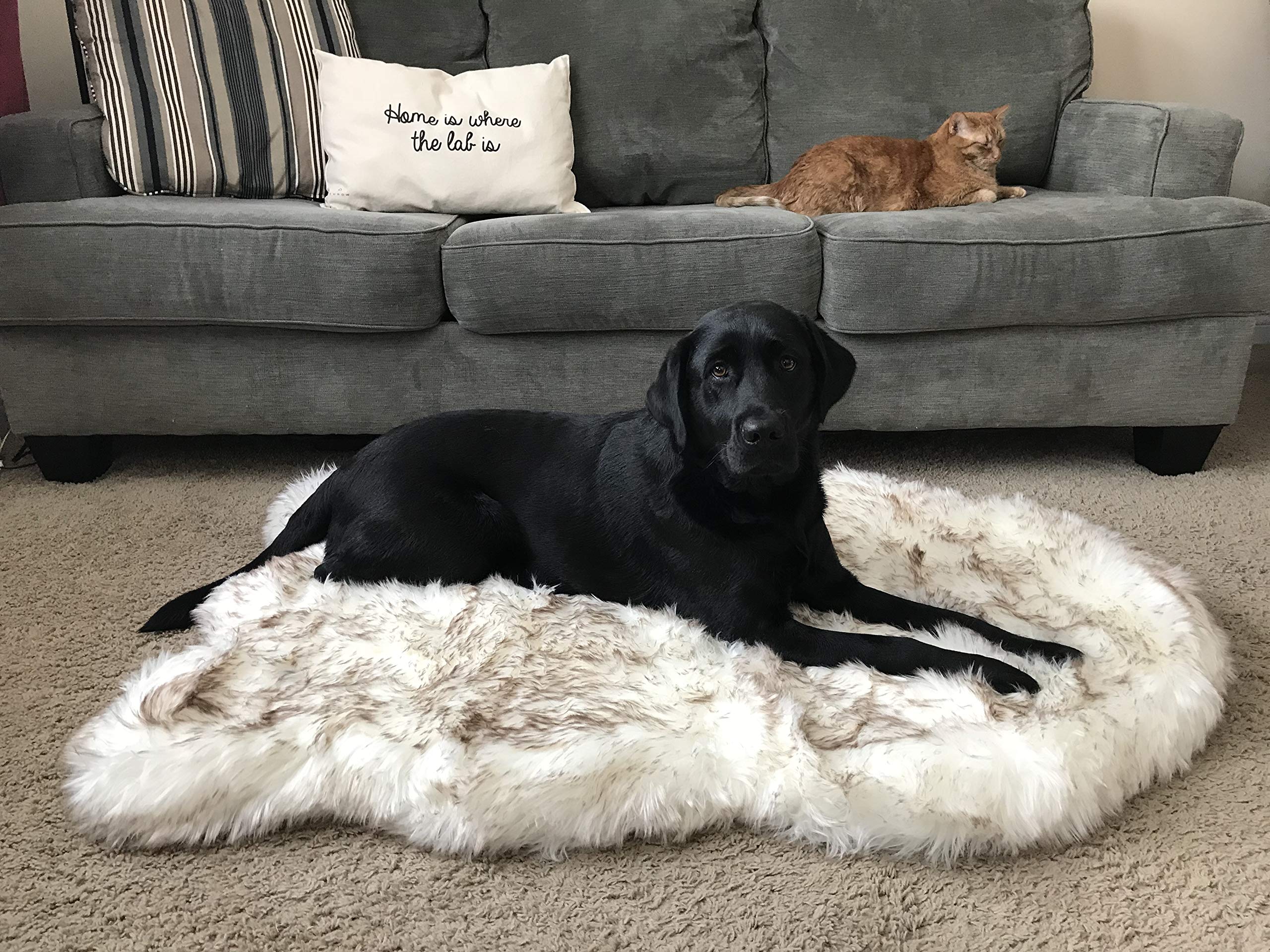 pup protector rug