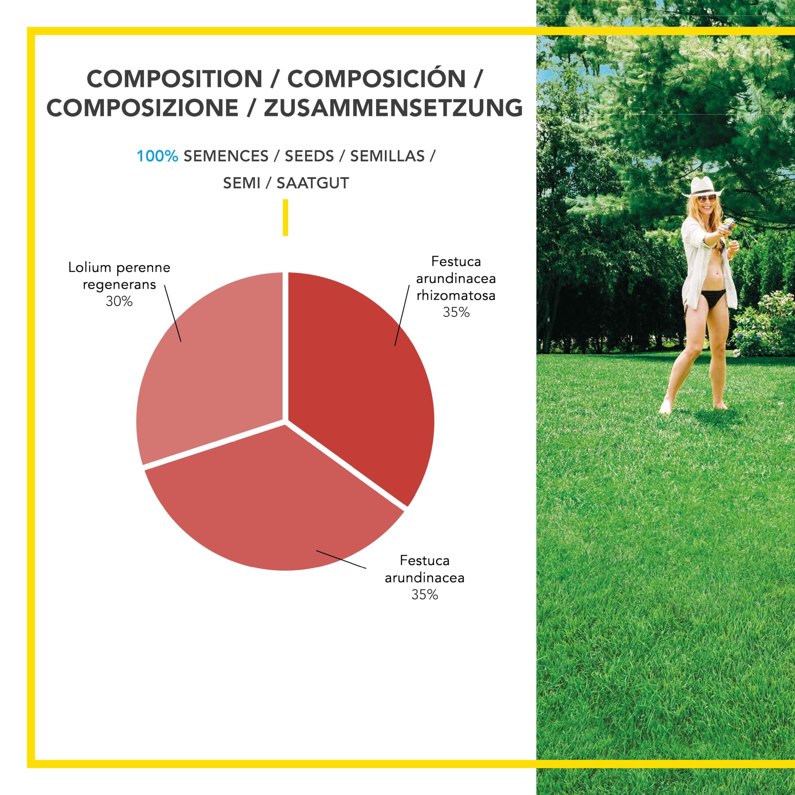 Barenbrug - Césped Terrenos Secos sin riego - Resistente al Calor y a la Sequía - Gran Reducción del Riego - Autorreparación Natural - Ahorro de Agua - Fabricado en Francia - 1 Kg