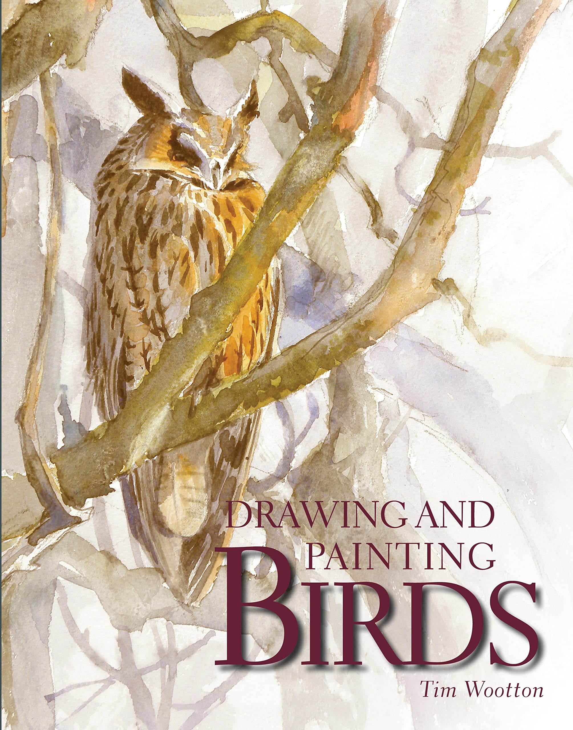 Drawing and Painting Birds by Tim Wootton (Paperback Book)