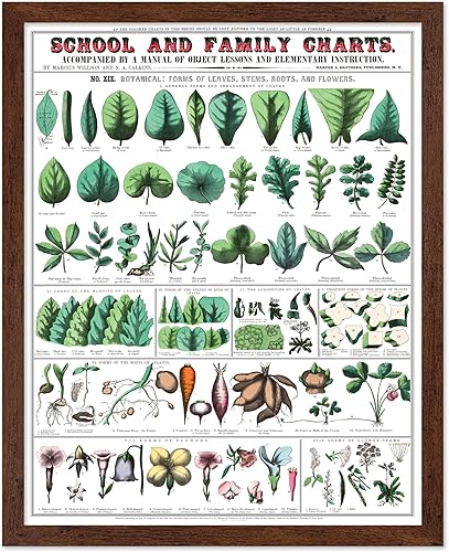 Miniatura 228 de Poster Master Póster vintage de orquídea, estampado de flores retro, arte de pared de plantas exóticas, arte botánico, regalo para hombres y
