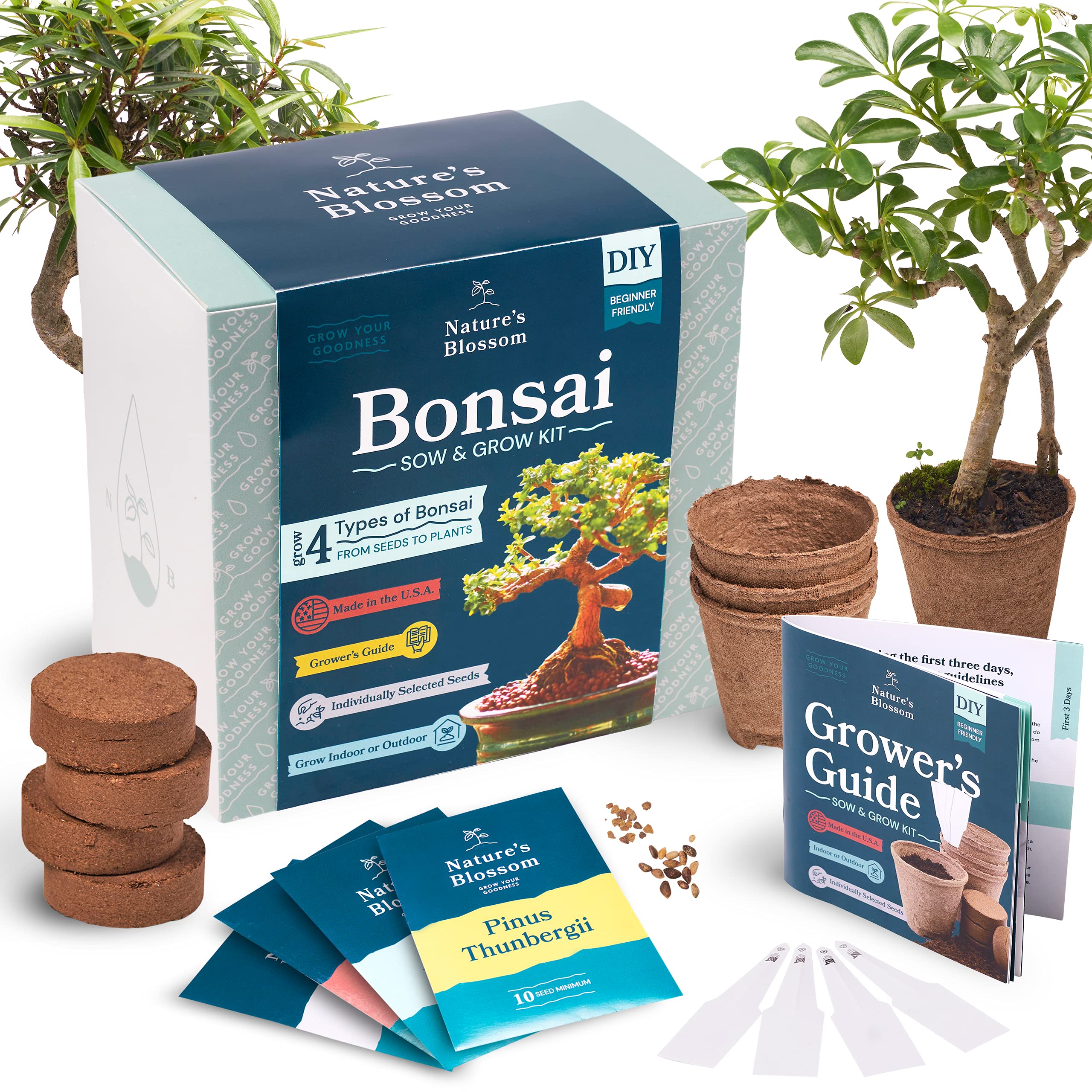Grow With Growing Kit. Soil, {4 Bonsai Trees Germination Kit} Buy