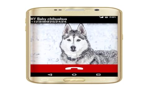 Fake Call From Your Husky Dog, Puppy Calling Prank for Siberian Huskies Dogs Lovers and Pet Owner -