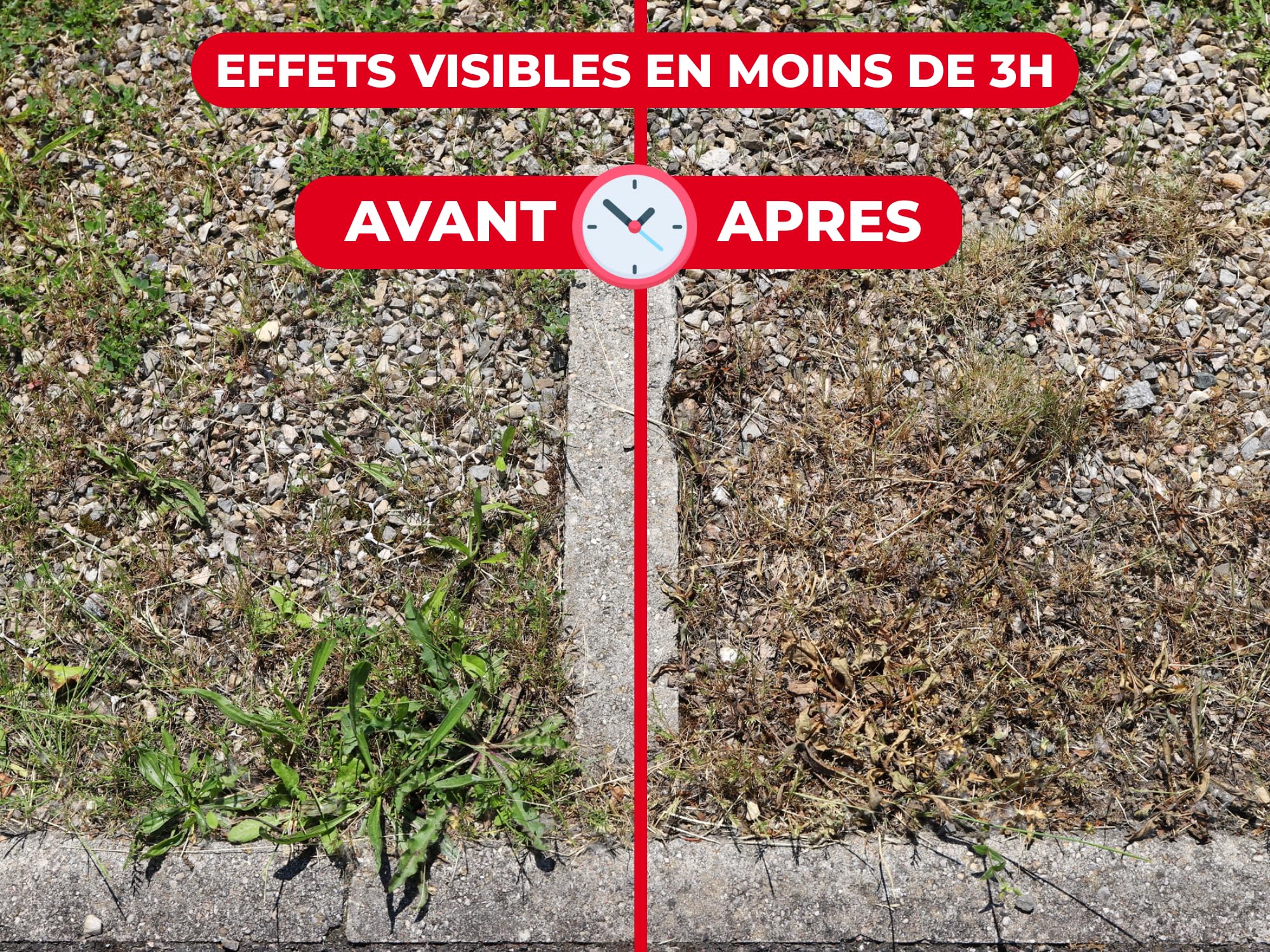 PROTECT EXPERT Désherbant Concentré - Cours Allées Terrasses - Effets Visibles Sous 3h - 700ml - Jusqu’à 58m² Traités - Bidon Doseur PROCOUR700