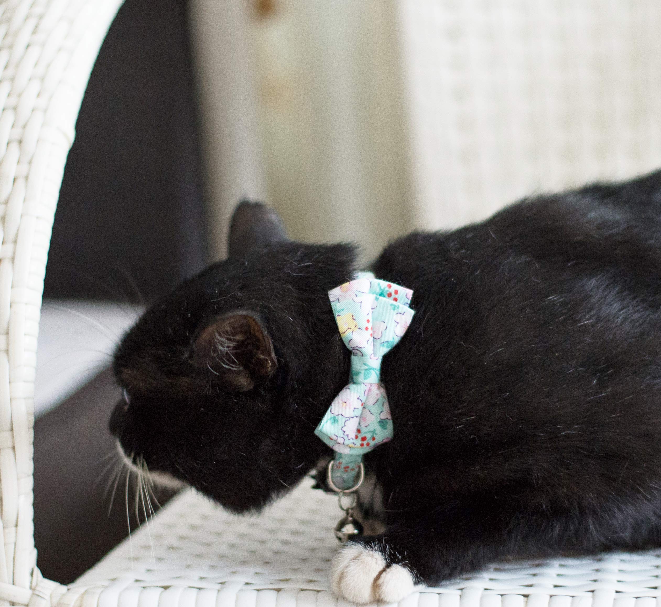 Collar para gatos y mascotas, con campana, pajarita floral, desmontable, ajustable, seguridad, cachorro, 2 unidades, verde y rosa perlado