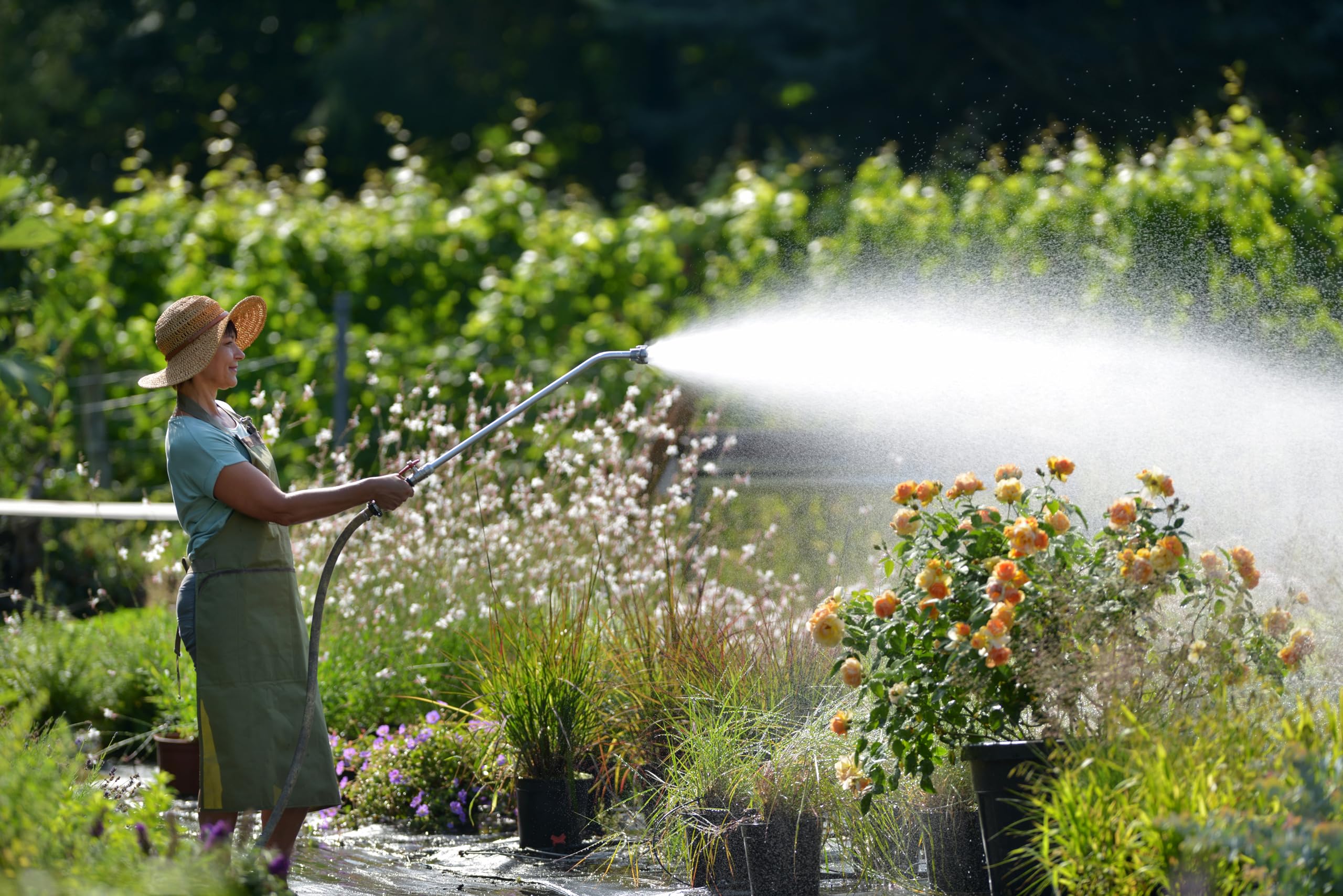 Testa di irrigazione per tutti i nostri bastoni da irrigazione 3/4 pollici filettati interni (ugello a ventaglio)