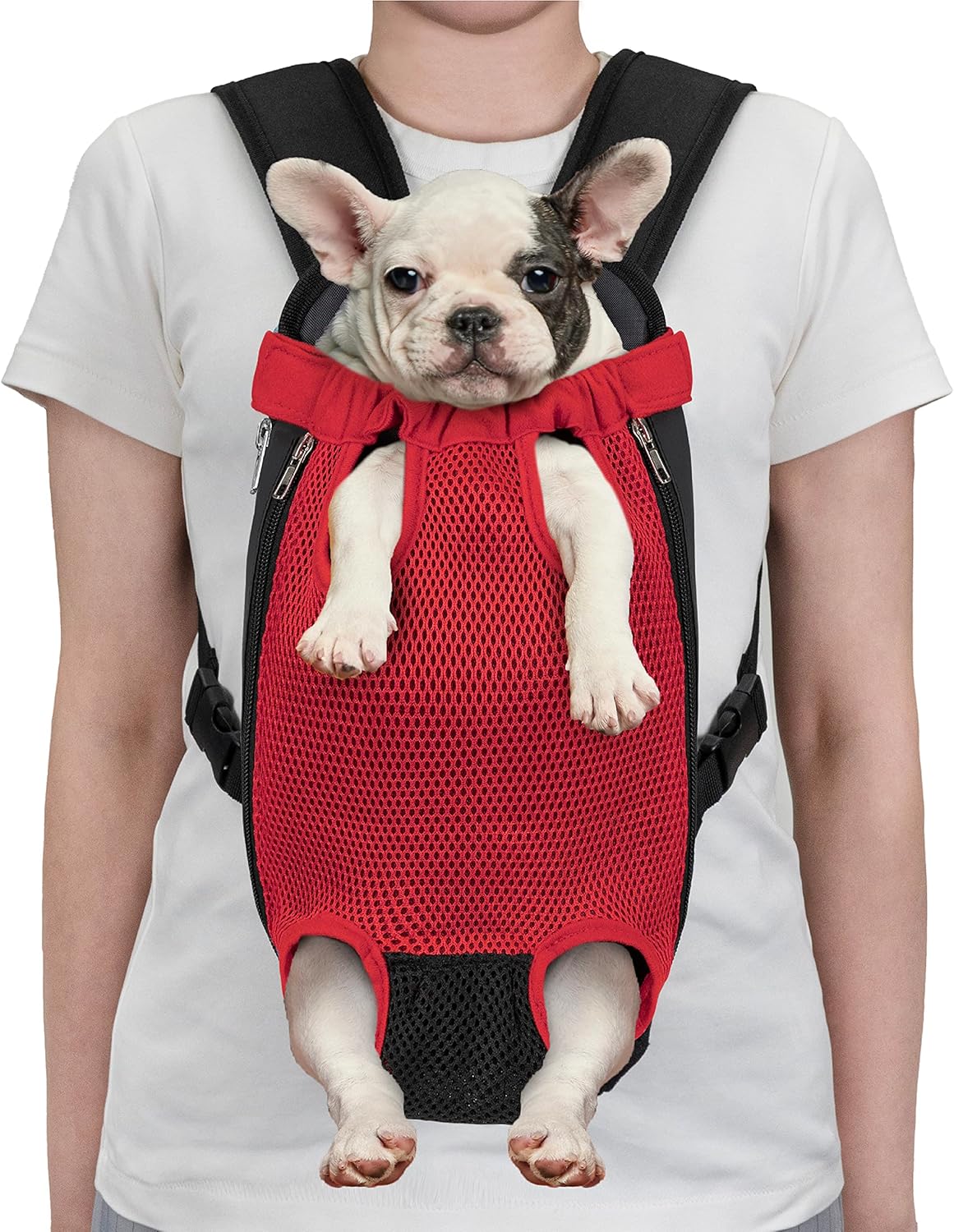 Adventure Awaits: Review of the PetAmi Dog Carrier Backpack for Small Pets