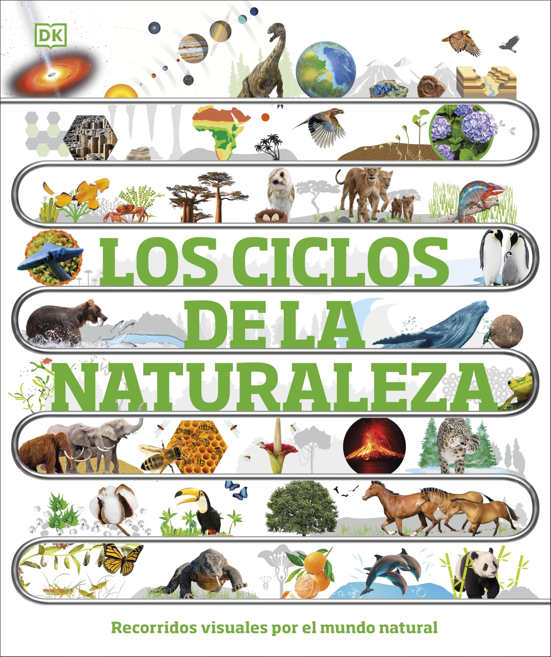 Los ciclos de la naturaleza: Recorridos visuales por el mundo natural (DK Infantil)