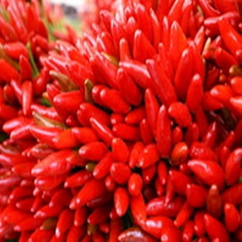 Nutella Bread Pudding