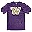 Washington Huskies Tri-Blend T-Shirt Vintage Icon Team Color, XX-Large