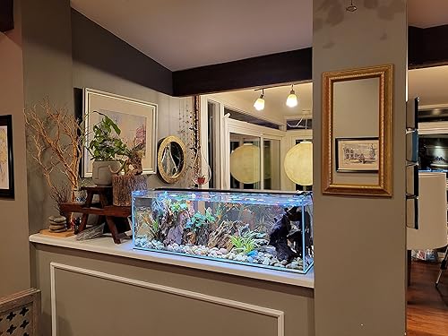 Miniatura 2 de Estantería de vidrio transparente de 6 galones para acuario de 0.197 in de vidrio grueso