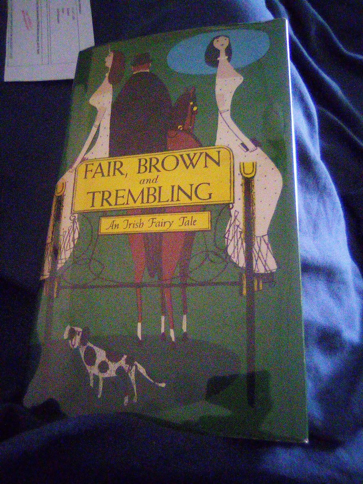 Fair, Brown and Trembling: An Irish Fairy Tale: Patricia Jones, Jan B ...