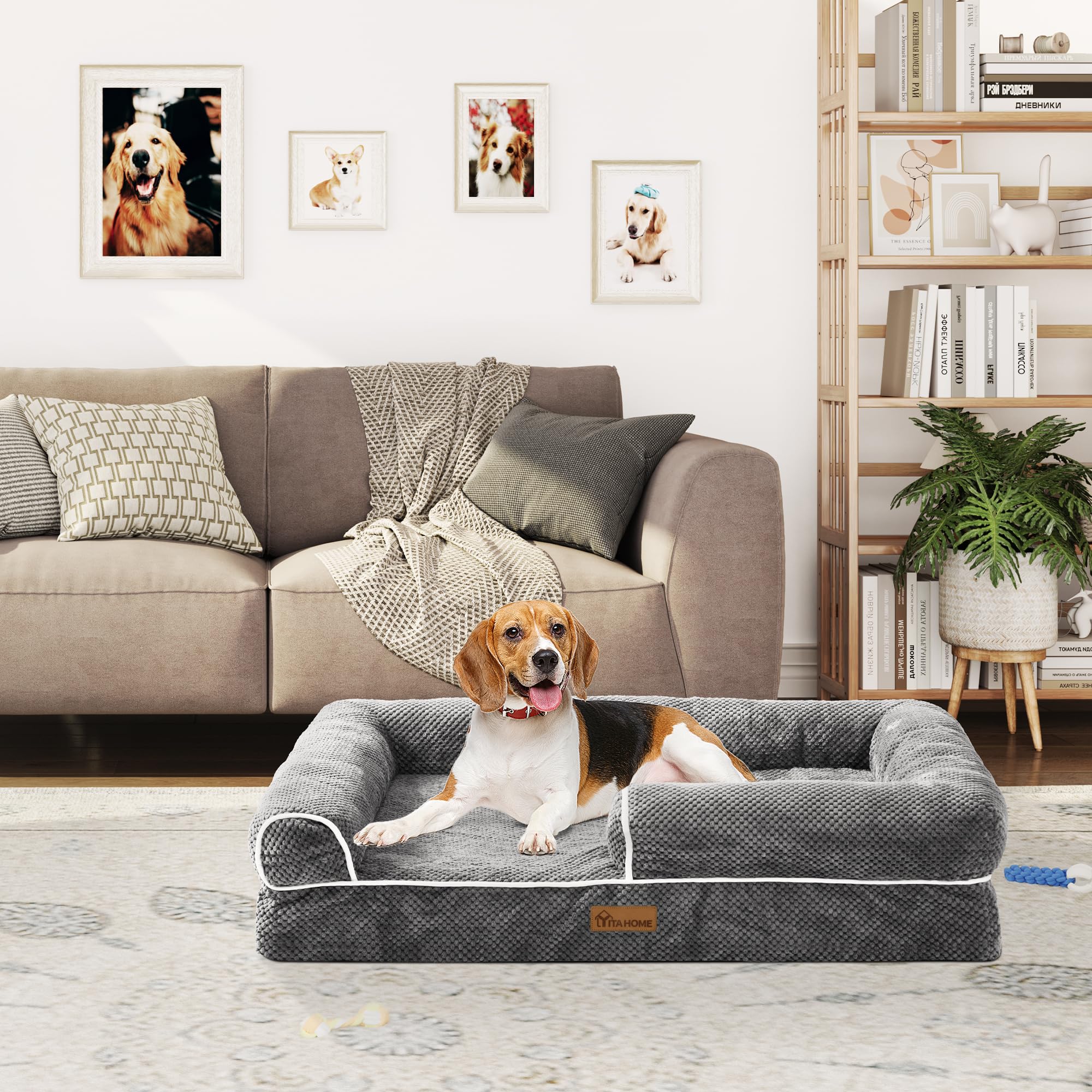 YITAHOME Divano letto per cani di media taglia, copertura rimovibile e lavabile, letto per animali domestici, morbido e accogliente, per cani di taglia grande ed extra grande, 89x63x18cm, grigio
