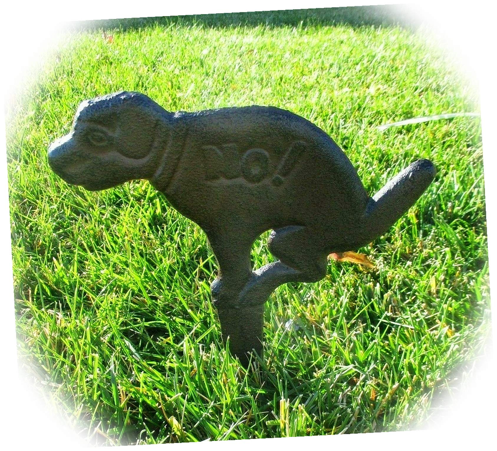 How To Clean Dog Poop From Garden