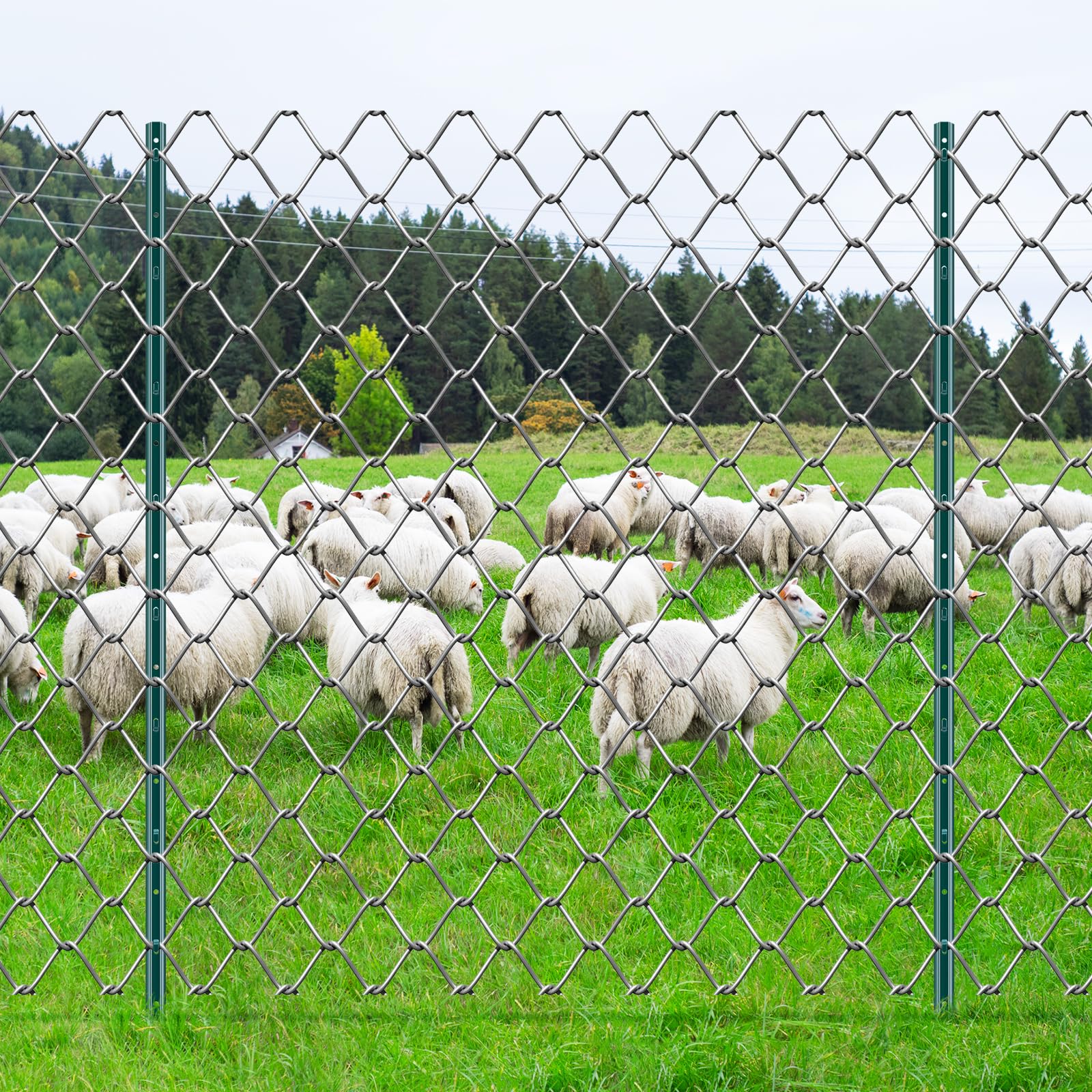 VEVOR Postes de Cerca de Metal 152,4 cm Postes de Cerca de Acero al Carbono Resistentes 10 Piezas Postes de Metal para jardín, Césped, Granjas, Cercas al Aire Libre, Huertos, Carreteras, Verde