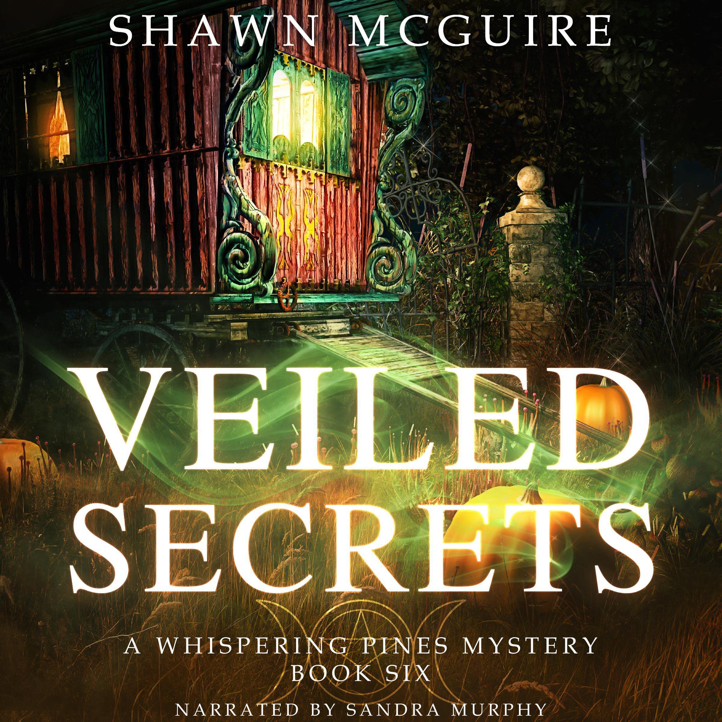 Cover art for Veiled Secrets