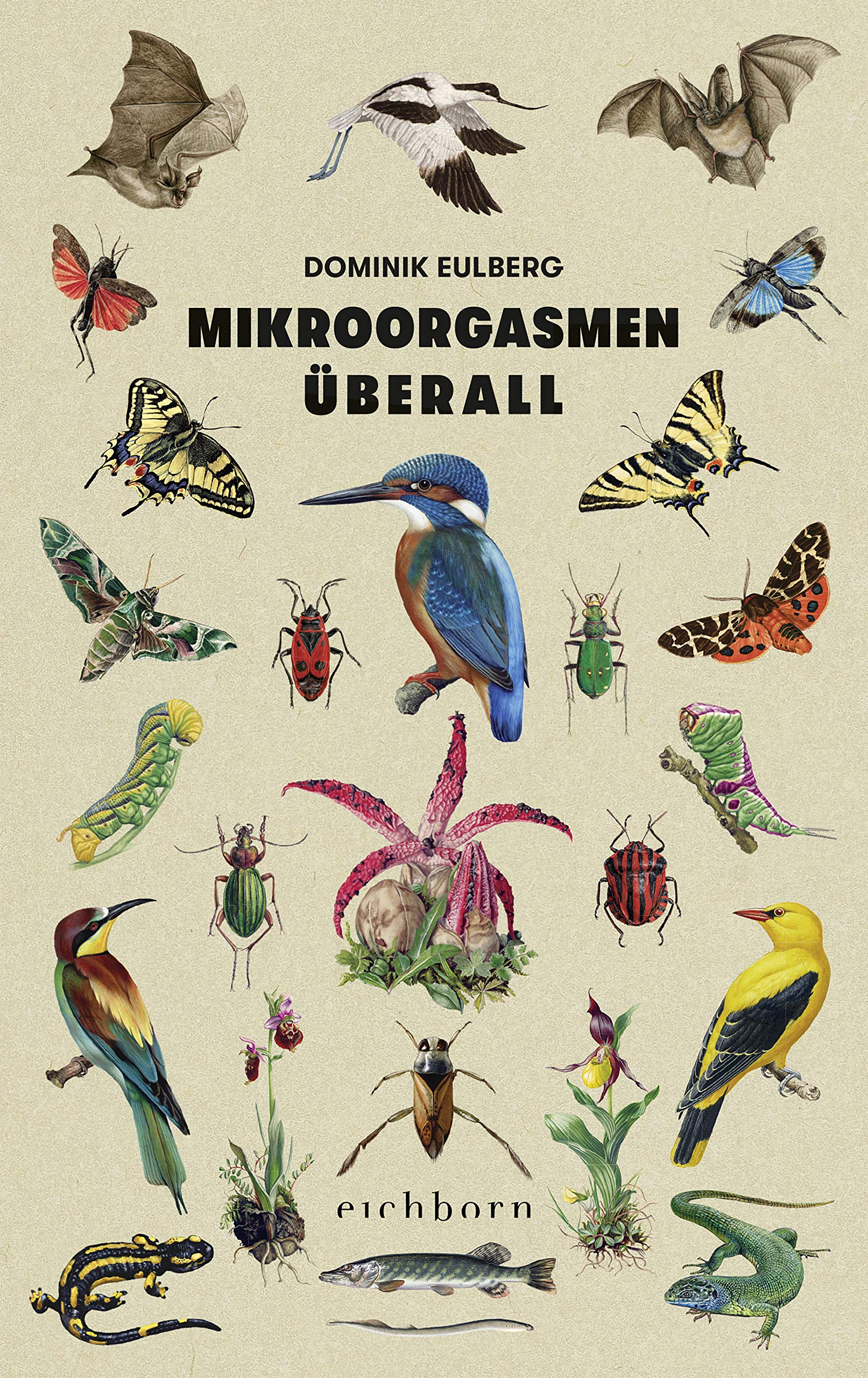 Mikroorgasmen überall - Natur vor unserer Haustür