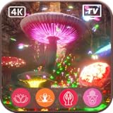 魅惑のキノコの天蓋-修復自然のメロディー、魅惑的なフルート|睡眠、リラクゼーション、火災テレビやタブレット上の静けさ