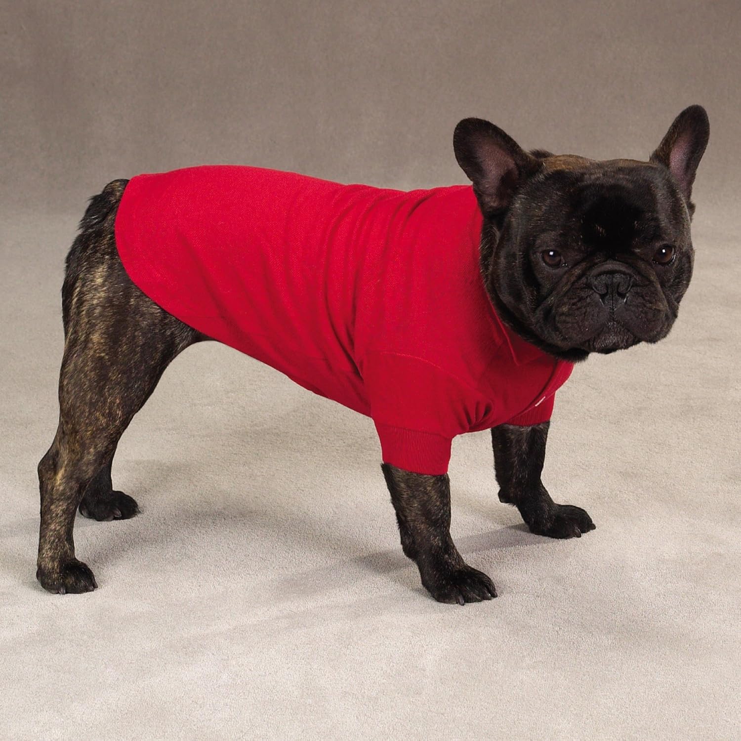 Zack & Zoey Cotton Polo Shirt for Dogs, 24" X-Large, Tomato Red : Pet Shirts : Pet Supplies