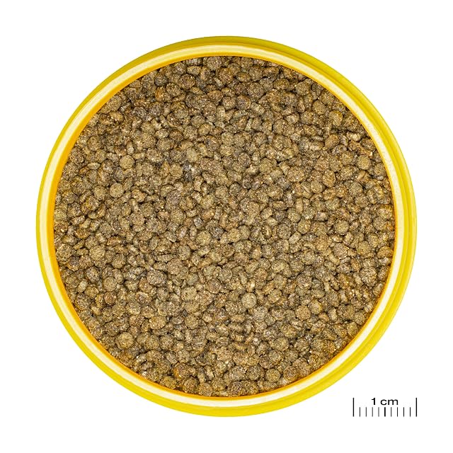 Foto 8 de 8 de JBL PRONOVO Gourami Grano, Alimento Base para Gouramis, Colisa y Otros Labríntidos de 3-10 cm