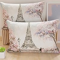 PETTI Artigiani Italiani - Coppia di Federe Cuscino 40x145 cm in Microfibra