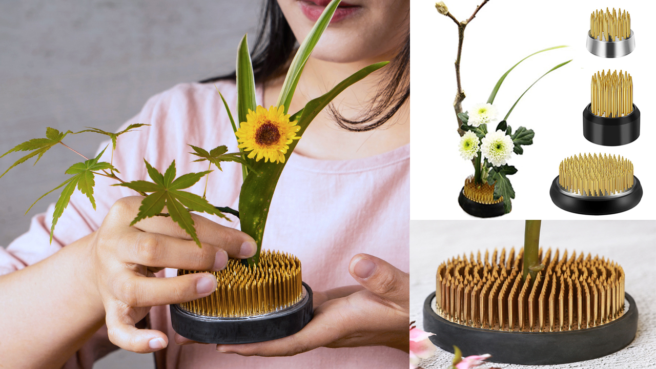 アクセサリー plants@painter Amazon.com: Ikebana Stem Holder, 3 Pieces Flower Frog Kenzan