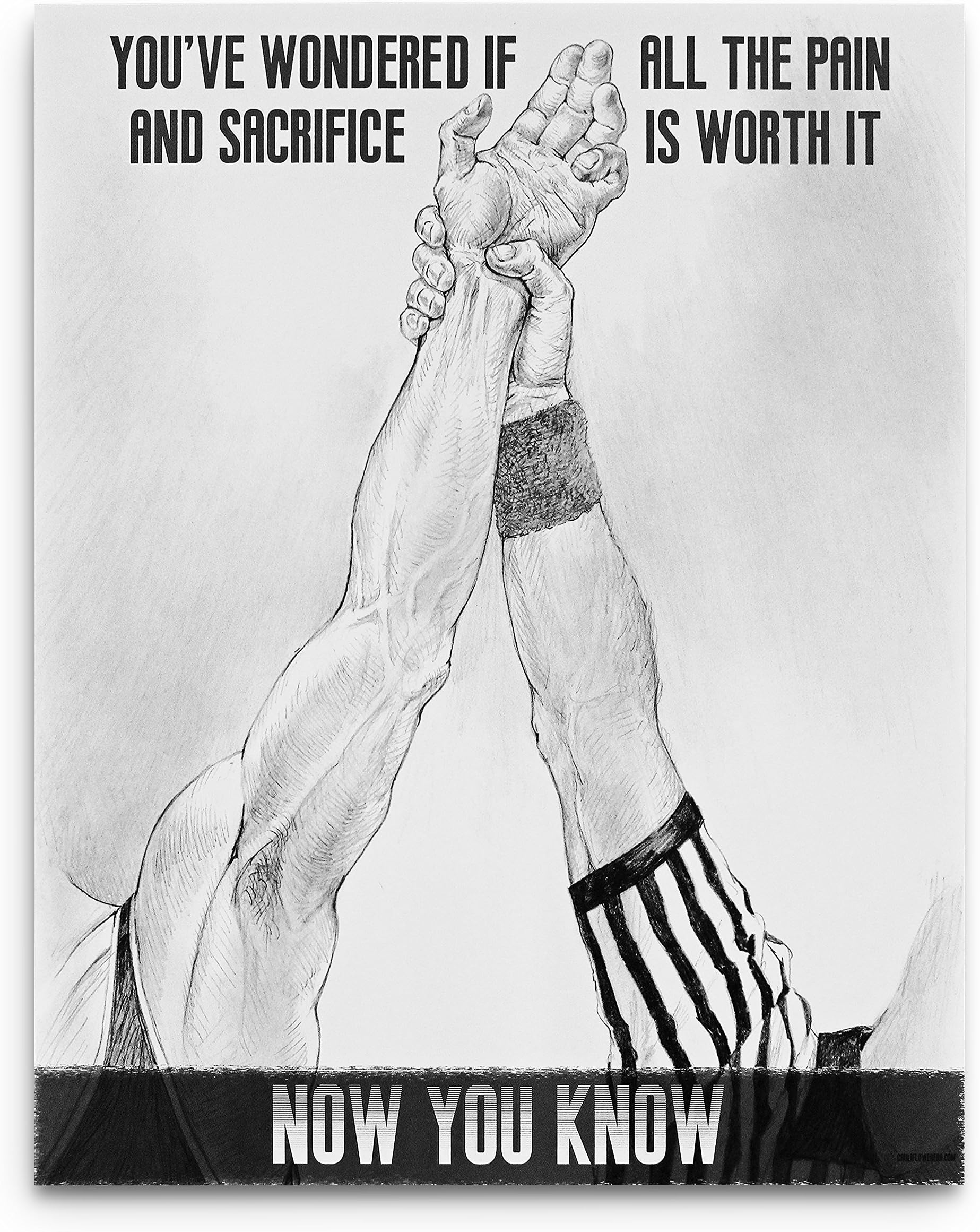Victory Wrestling Poster Cauliflower Brand