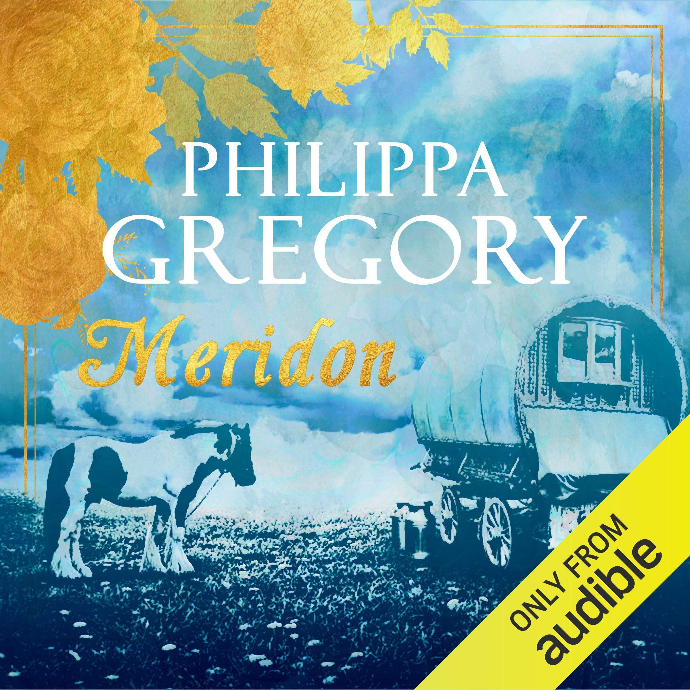 Cover art for Meridon