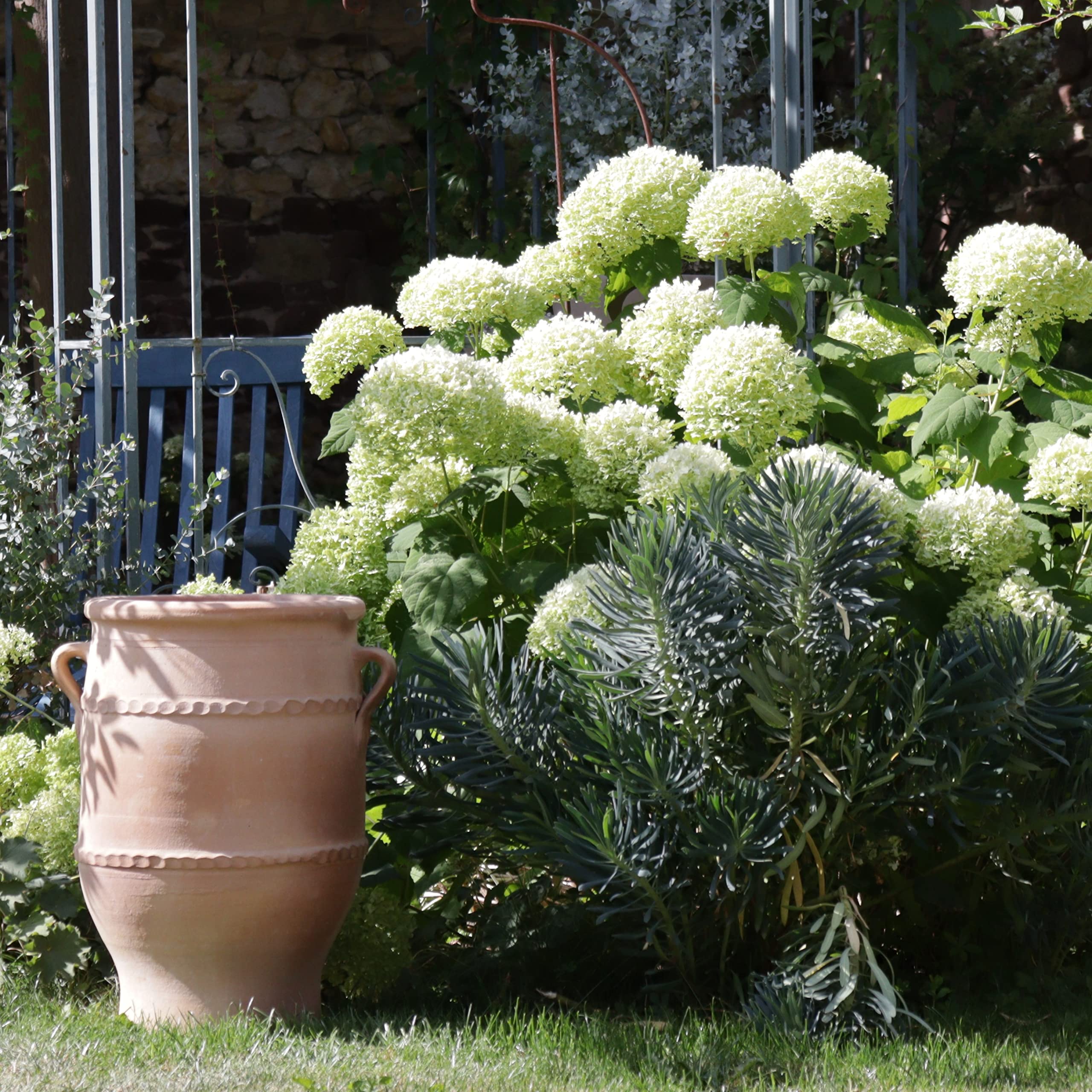 Maceta Terracota Palatina Werkstatt Áfora De Terracota, 40 Cm