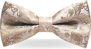 JEMYGINS Mens Pre-tied Paisley Bow Tie for Wedding Party Adjustable Bowties