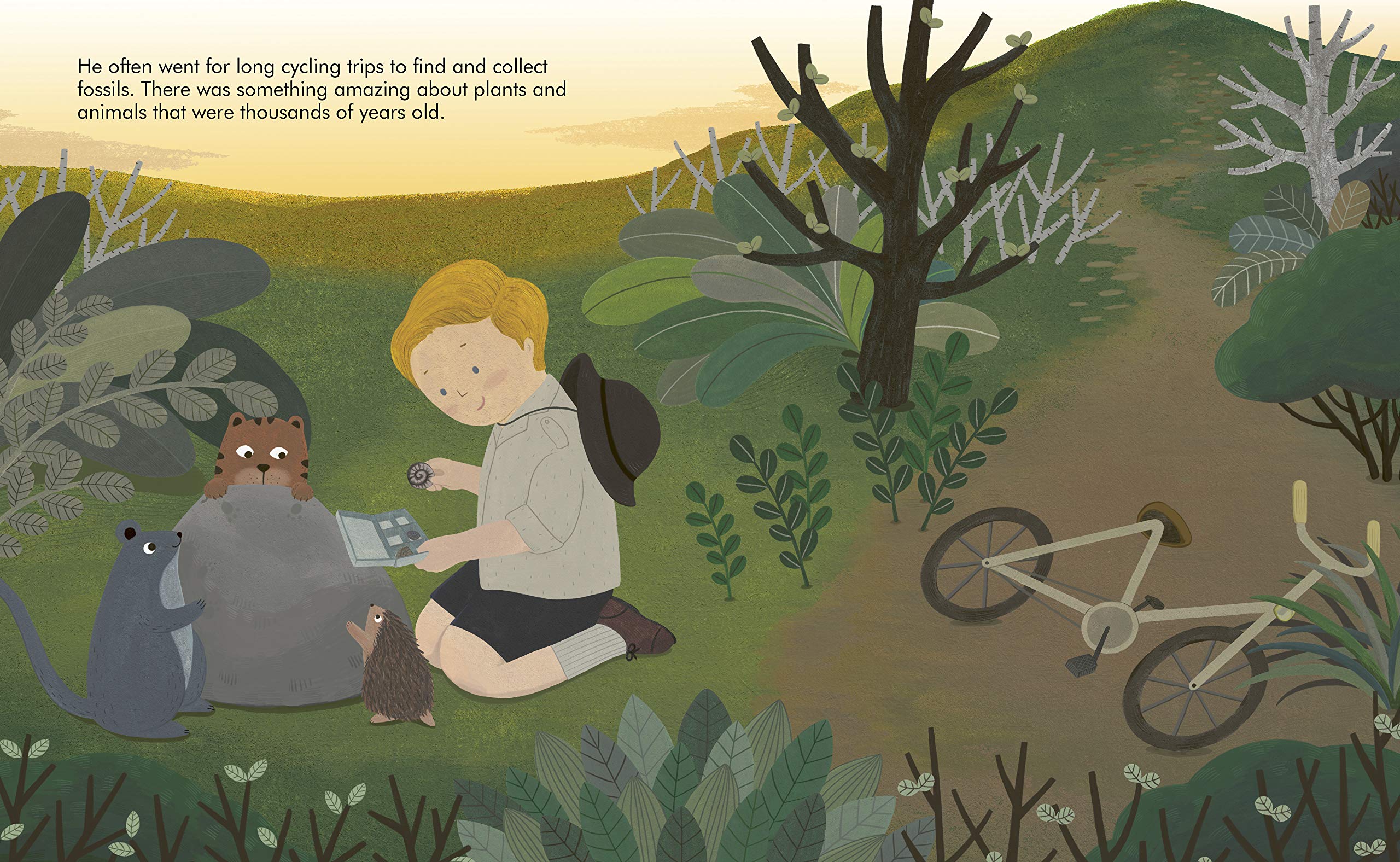 David Attenborough (Volume 34) (Little People, BIG DREAMS) 4